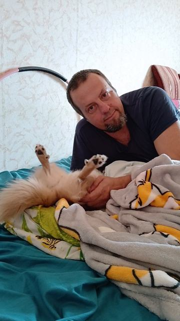 Собаке хорошо или плохо?