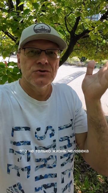 Человек приходит к вере сам