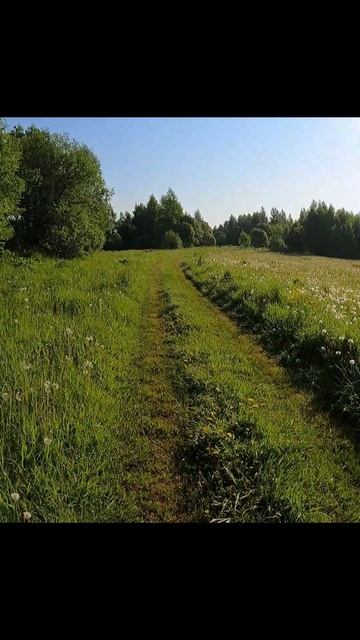 * Бег на грани срыва *