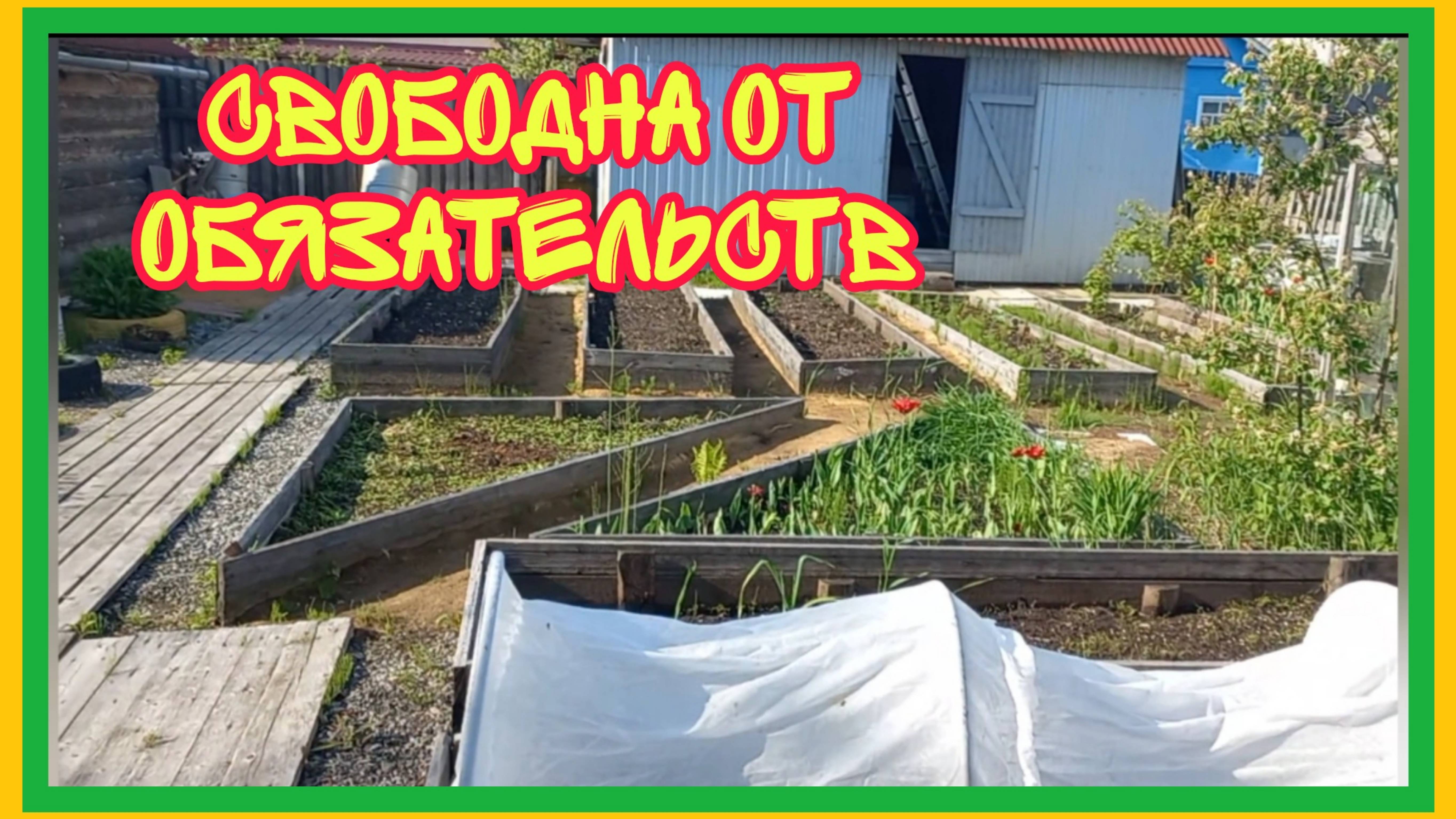 4/6 25 СИТУАЦИЯ ПРОЯВИЛА ГОЛЫХ ВЗАИМЩИКОВ. ТЫ МНЕ - Я ТЕБЕ. РАДУЕТ, ЧТО ОТВАЛИЛИСЬ.