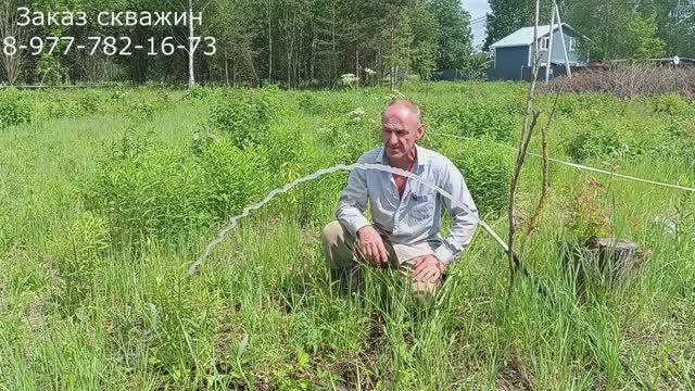 Абиссинская скважина.Сады 234