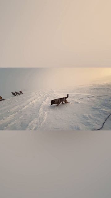 юмор про путешествия