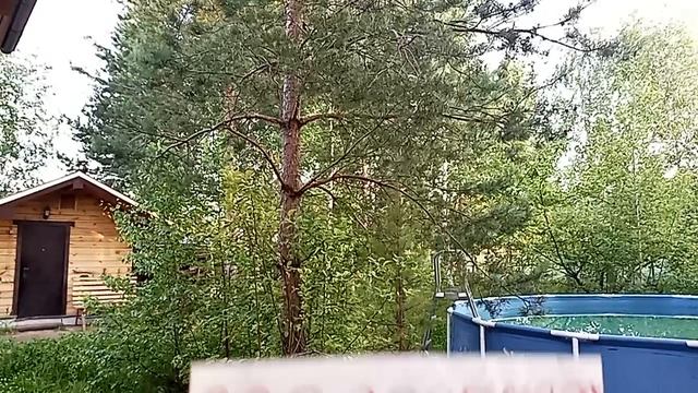 VID_20250610_190016.mp4