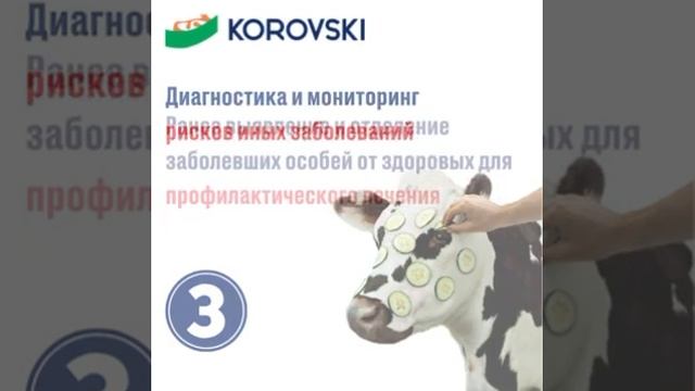 Преимущества системы KOROVSKI