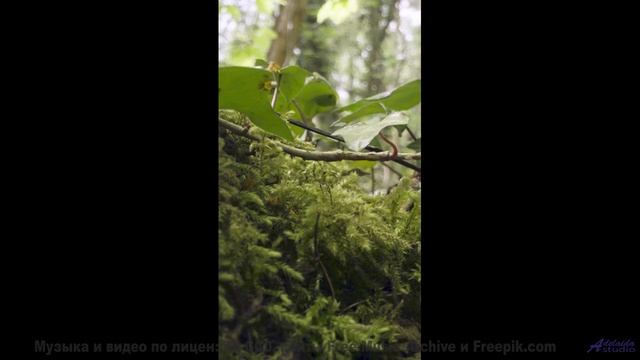 Музыка, которая звучит как голос океана! - Countryscape -- Ketsa -- Unified Division