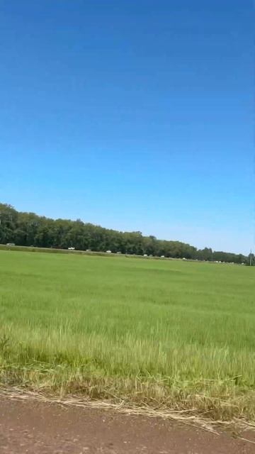 У вас какая тачка?