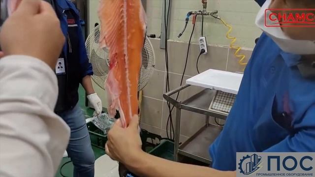 Филетировочная машина для красной рыбы (лосось, нерка, форель, кижуч) CHSF-2. Выход до 87% трим А.