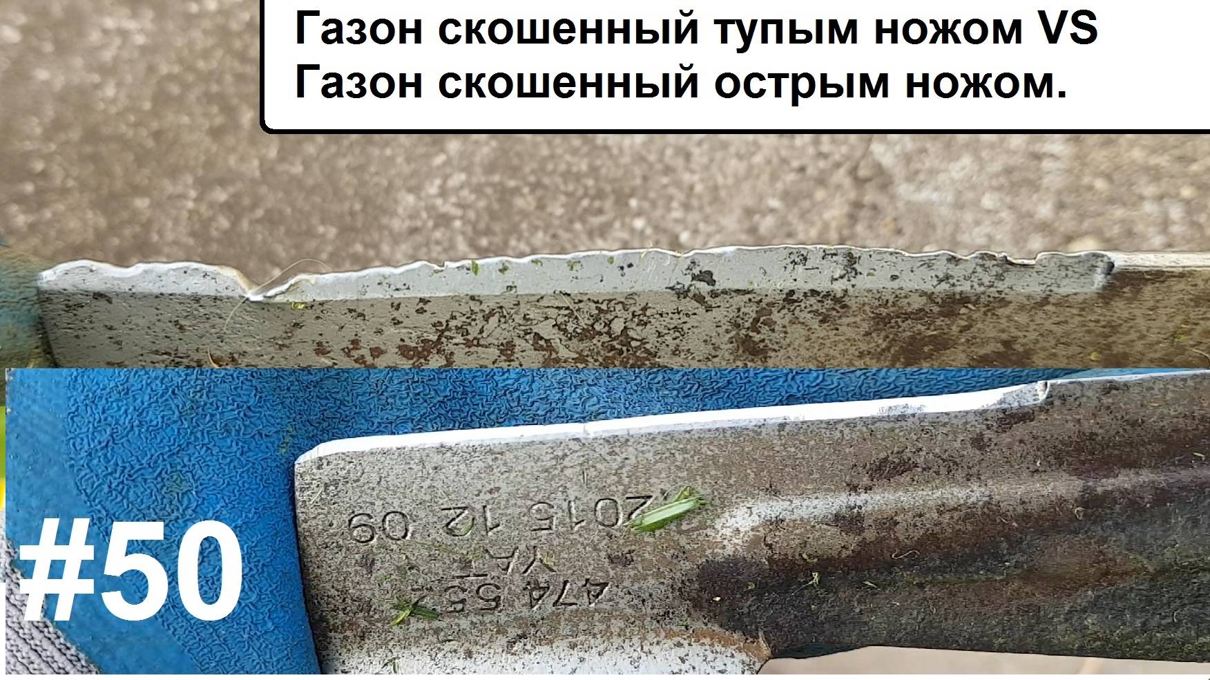 Газон скошенный тупым ножом.