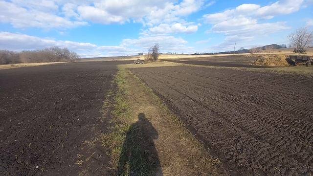 12 апреля. Чеснок взошёл. Заборонил участок.