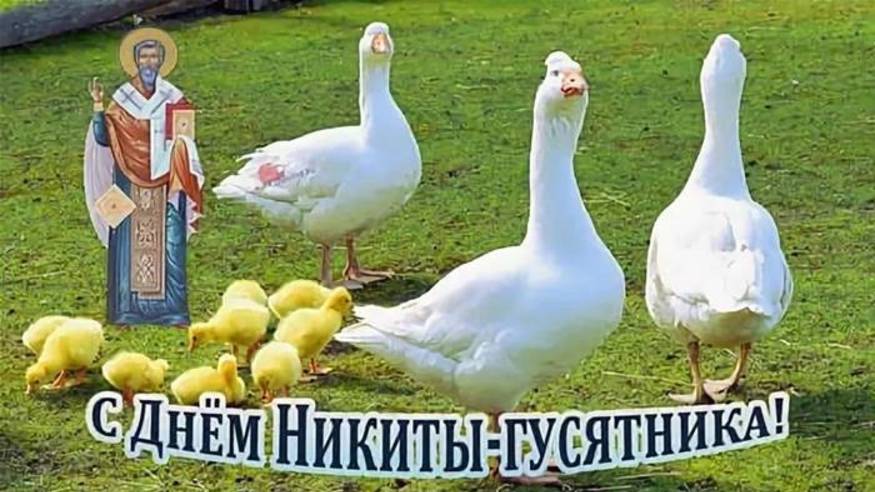 10 июня народный праздник день Никиты Гусятника, Полудница. Что нельзя делать. Приметы, традиции
