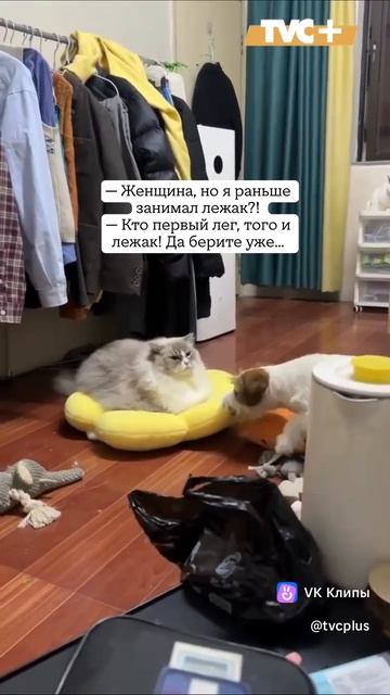 VID_20250609_152838_559.mp4