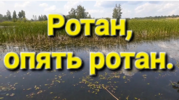 Ротан, опять ротан.