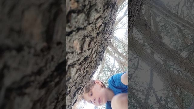 VID_20250610_111515.mp4