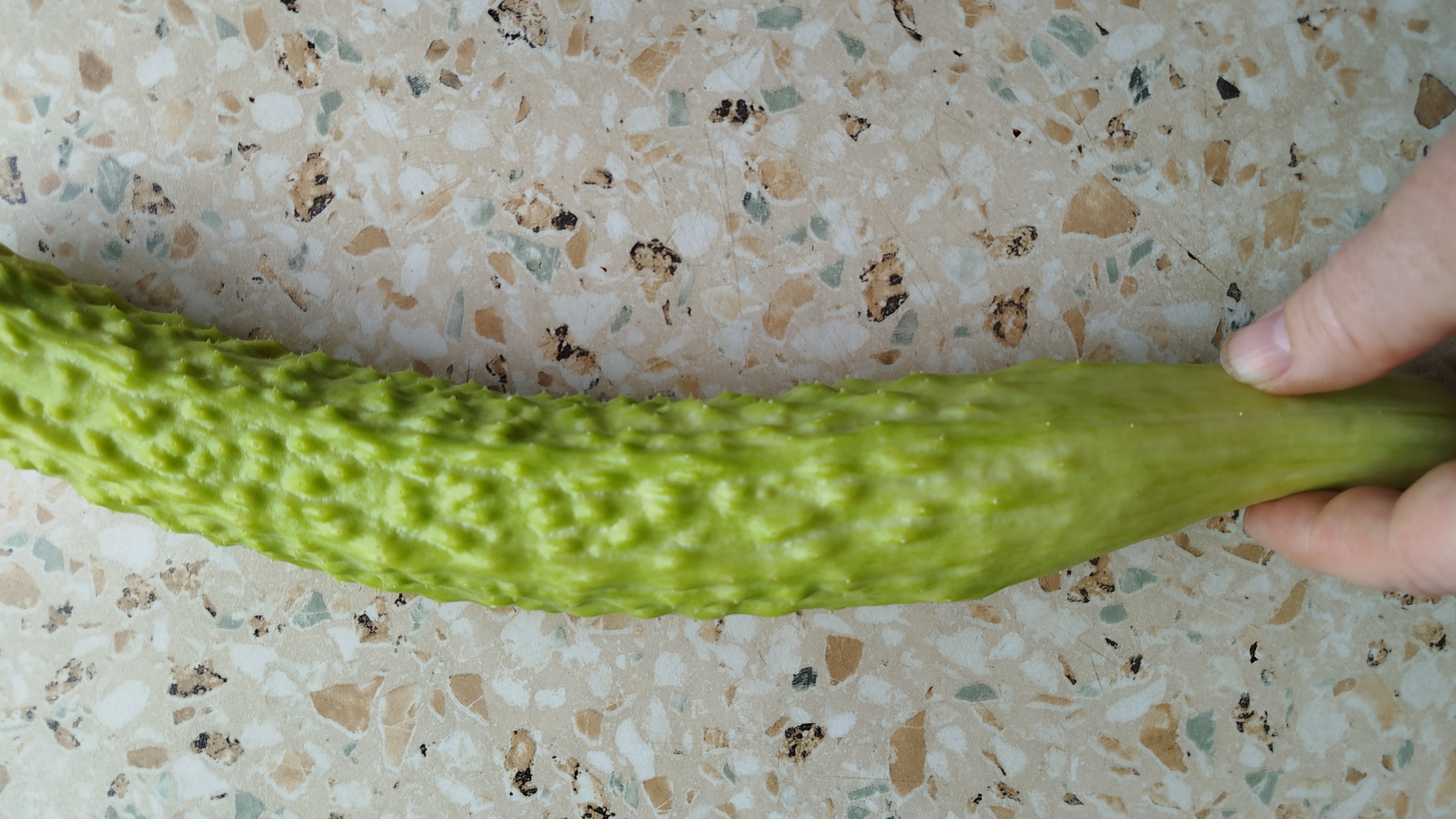 Белый огурец 🥒/Небольшая закупочка 🛒/ Влог🌱🏡