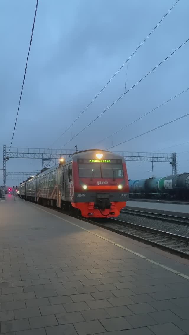 Прибытие "ЭД4М-0439" маршрутом №6003/6103 "Ярославль-Главный — Александров-1" на Московский вокзал