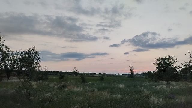 Вечерняя прогулка