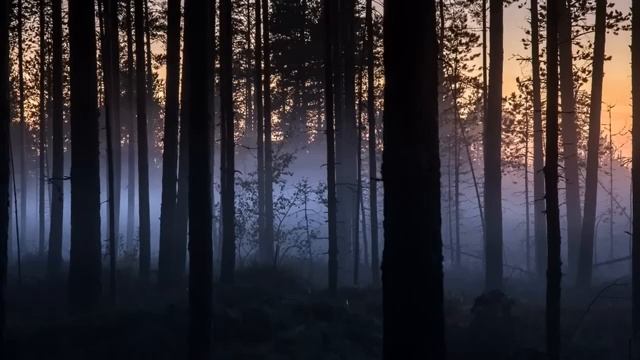 Вечерние сумерки под успокаивающую музыку души часть 10