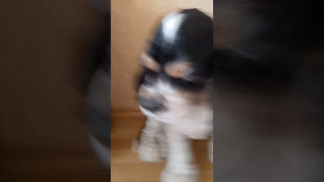 Срочные новости Чарли будет снимать обзор