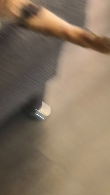 Моя кошка 🐱 Анта уронила свою рыбку на пол,и рука у неё осталась поднятой 🤦 🎀😅