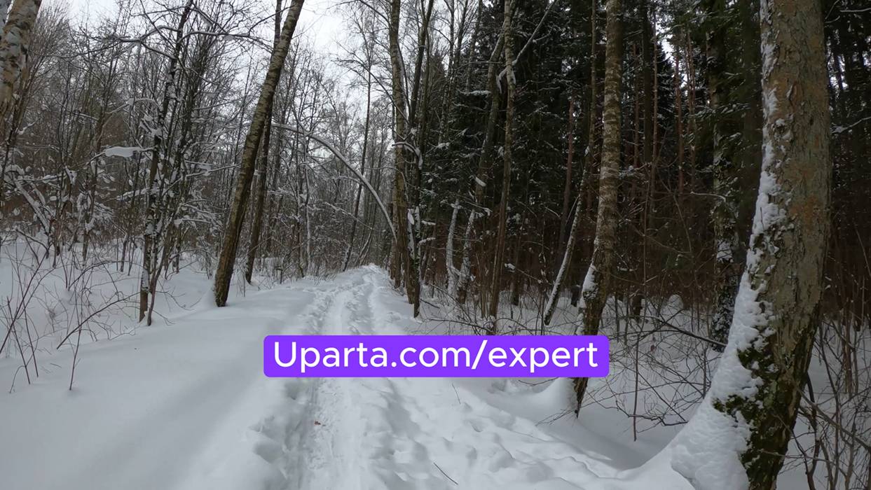 У вас свой бизнес, и вы понимаете, что все идет к банкротству