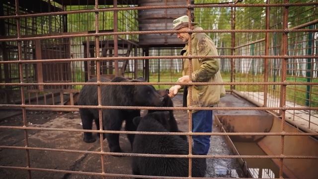 Иду в поход с 90-летним геологом. Путешествие в Хабаровский край
