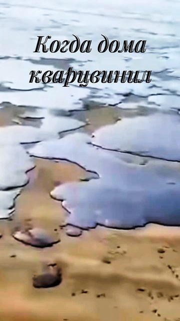Что выбрать - паркет или кварцвинил? #паркет #кварцвинил #дерево #нефть #натуральный #искуственный