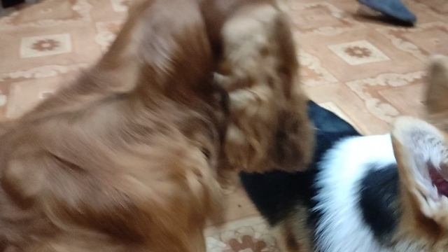Урааа играть с друзьями так весело, наконец-то доехали ррафф