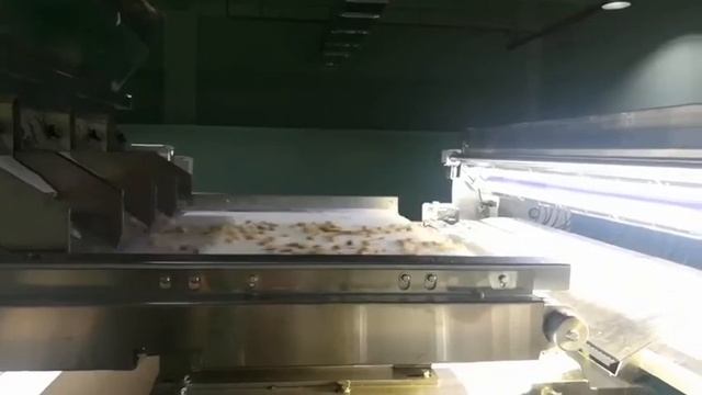 Сортировка грецкого ореха на DL 2 уровня
