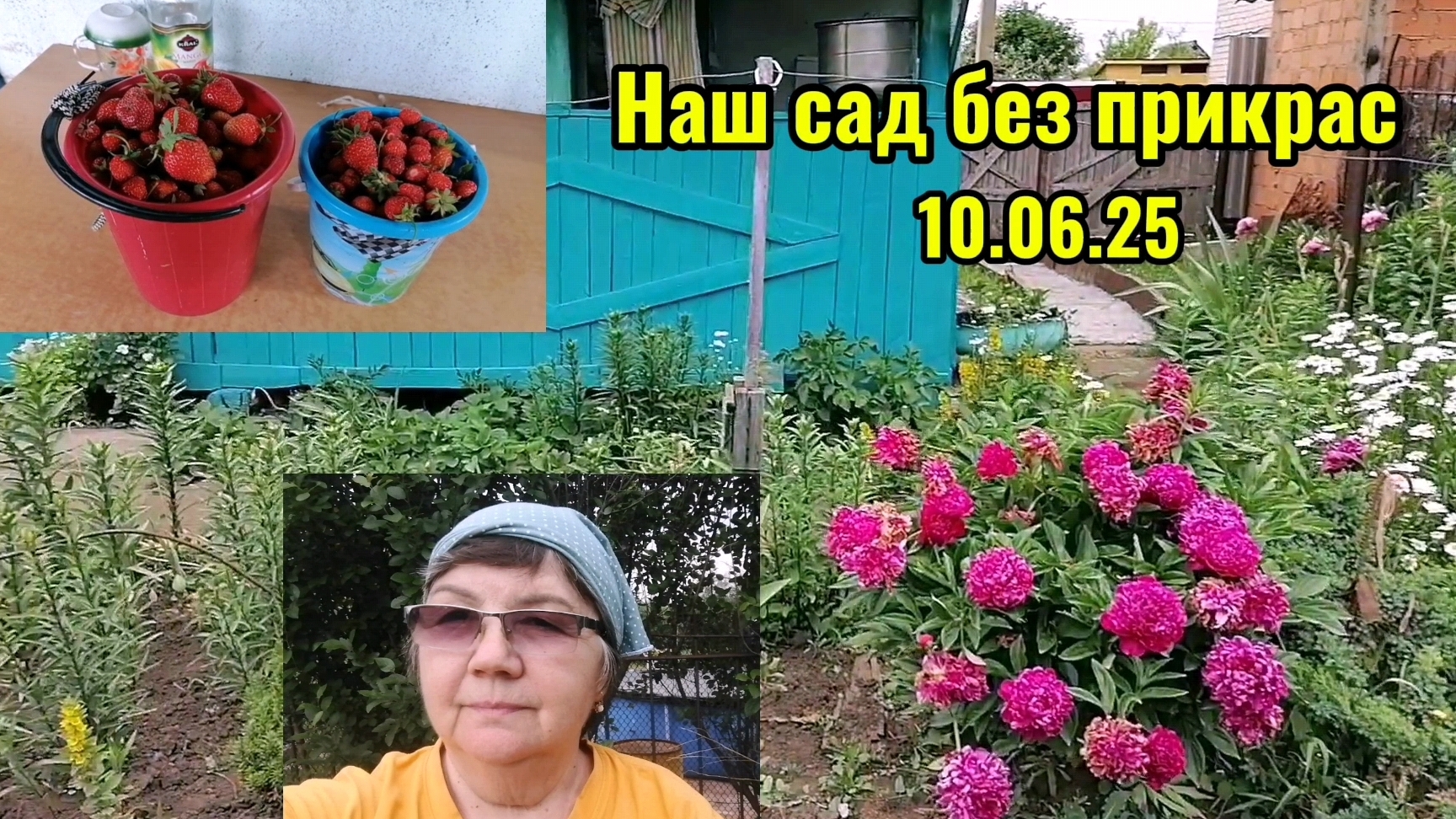 Влог. Наш сад дача без прикрас. Клубника пошла. Огородн. работы.Дача здорово, если живёшь в квартире