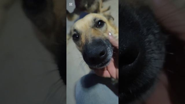 Сюжеты из ночного эфира в ТТ
