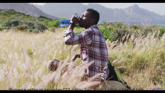 Почему этот клип вызывает непреодолимую тягу к путешествиям - Bjork -- Podington Bear -- Homage From