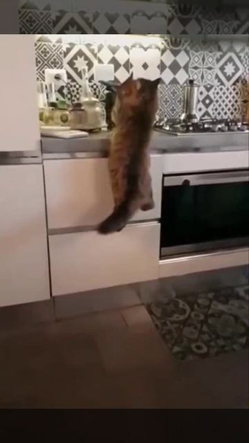 Жаркий поцелуй.mp4