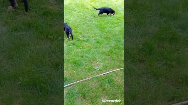 1000007239.mp4