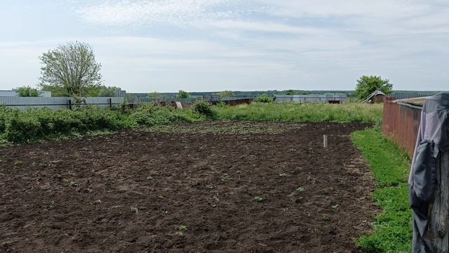 В деревне.4.06.25.