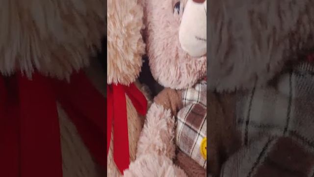 что то происходит в нашем доме