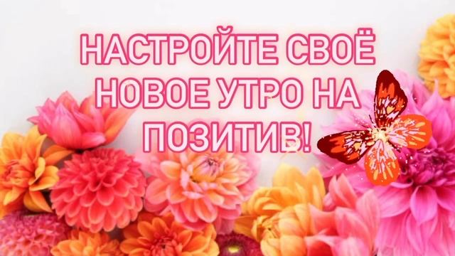С Добрым Утром! Хорошего Настроения Вам 🌞☕️🥳😍 #сдо