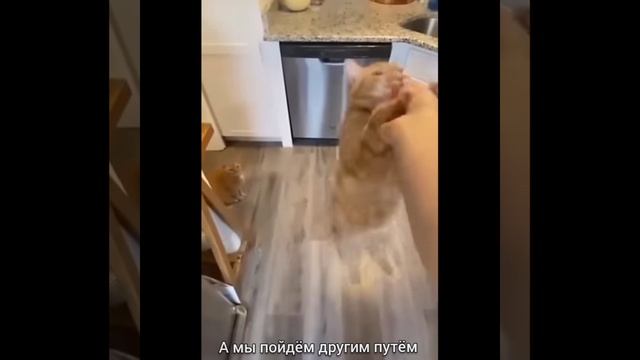 А МЫ ПОЙДЁМ ДРУГИМ ПУТЁМ..