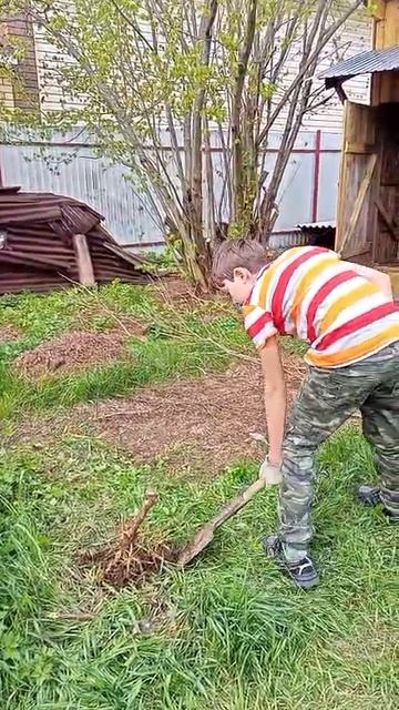 VID-20250610-WA0005