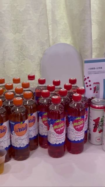 Сахалин и Китай обсудили планы развития и сотрудничества