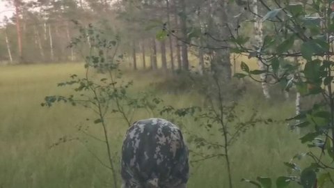 Случайно увидели тетеревов. Но не успел...