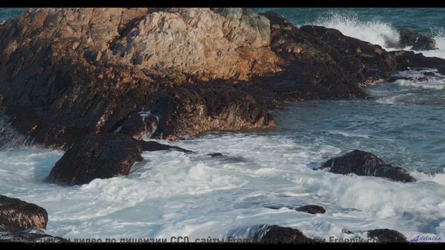 Лес, который ЗАПОМИНАЕТ каждого! - Golden Woman From A Dream V2 -- HoliznaCC0 -- Music From The Vaul