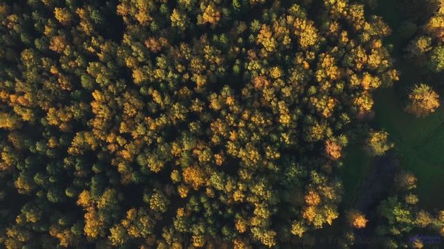 Почувствуйте, как стресс растворяется под этот саундтрек! - Adventure -- Chad Crouch -- Motion