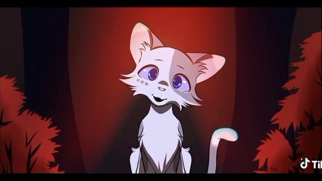 коты воители призрак( я)