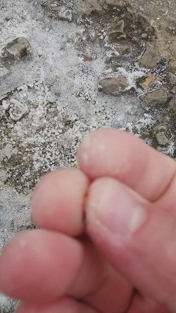 морская соль черного моря
