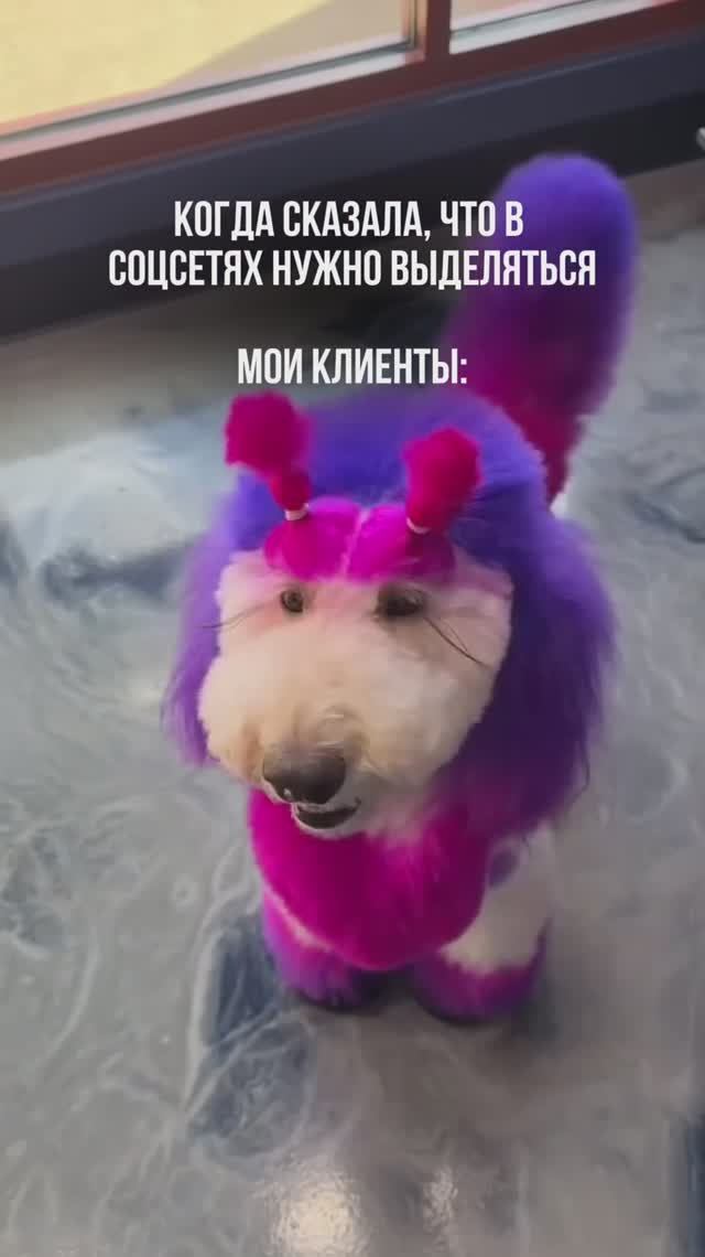 ПОДПИСЫВАЙСЯ НА КАНАЛ➡️@content_smm
⠀