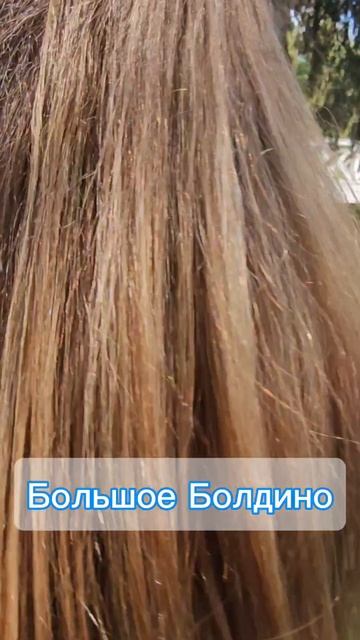 Путешествие в Сердце Евразии началось!