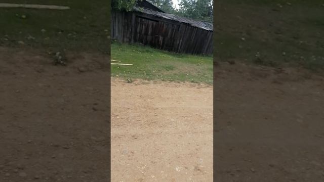 VID_20250610_134355.mp4