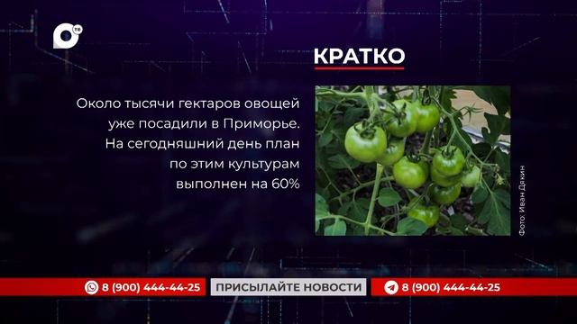 Кратко / 10.06.25 / Утро