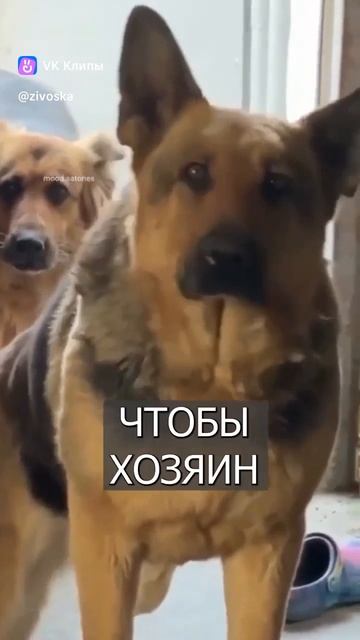 1000046466.mp4