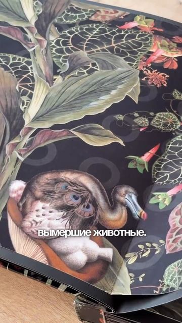 Несуществующие животные.